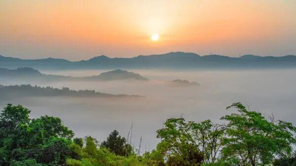 欢天喜地过大年！龙泉驿特色活动看过来(图10)