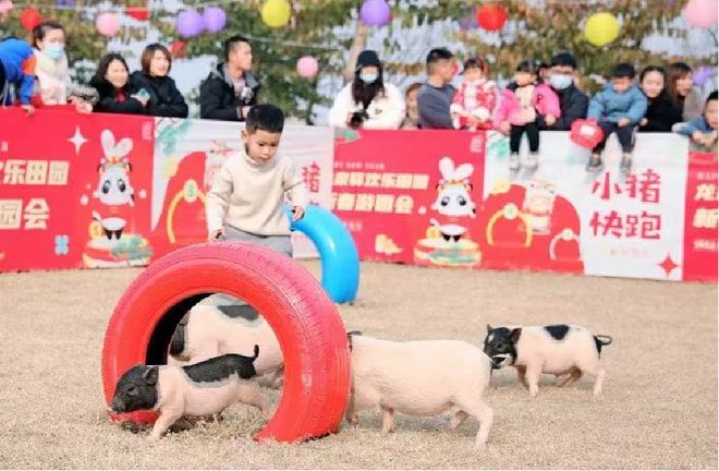 欢天喜地过大年！龙泉驿特色活动看过来(图14)