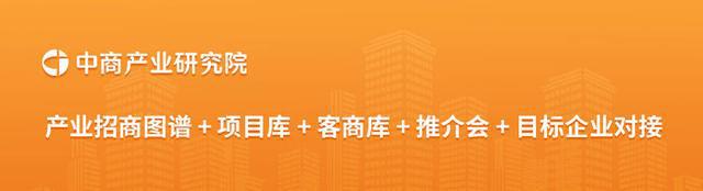 2025年中国保健食品行业市场前景预测研究报告(图16)